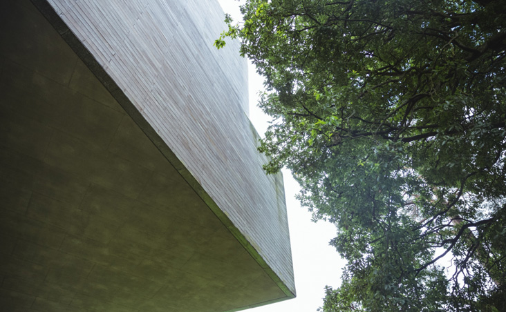 Arquitetura regenerativa: quando o projeto devolve mais ao ambiente do que retira